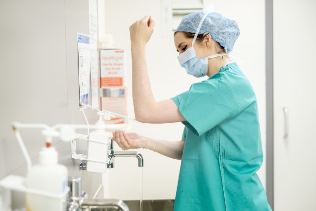 Surgical nurse Sara Dalby scrubs up in preparation for surgery