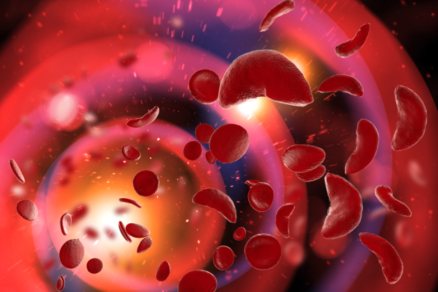 A 3D illustration shows blood cells in the body