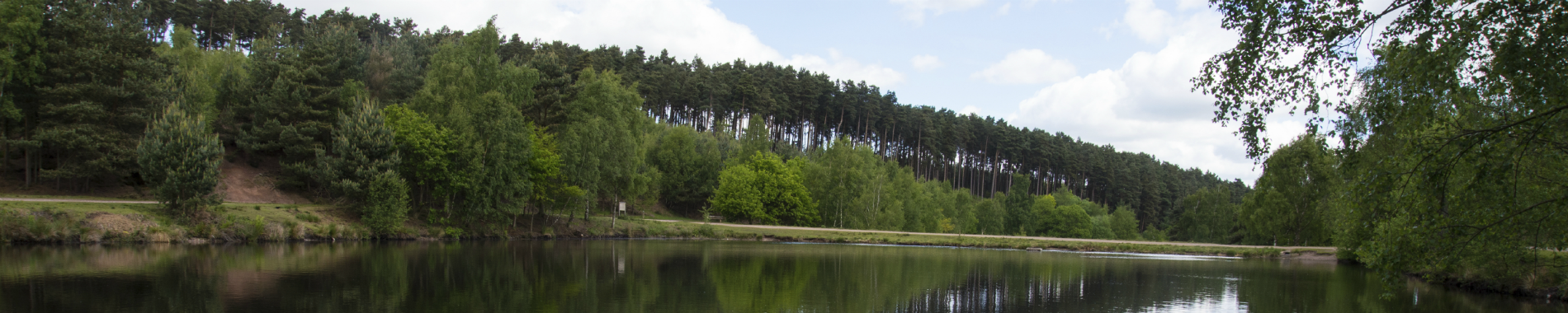 South Staffordshire